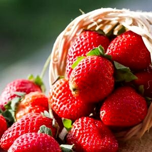 Parfum Fraise 30 ml