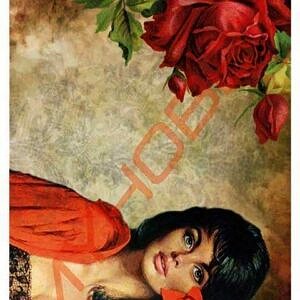 Feuille découpage MYHOBBY Auto-Adhésif DE 32X45 TT-217