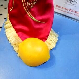 Moule silicone Lemon  85 x 60 x 40 mm